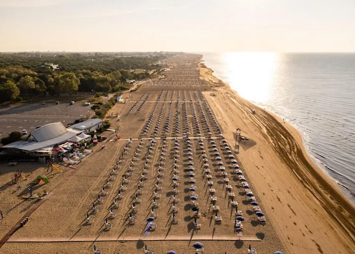 Apartment Cozy 250 Metres From The *